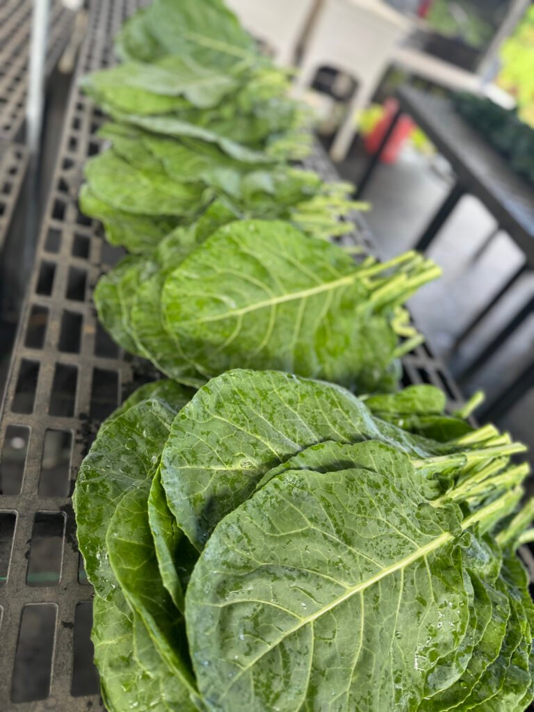 Hawaii organic farm to table