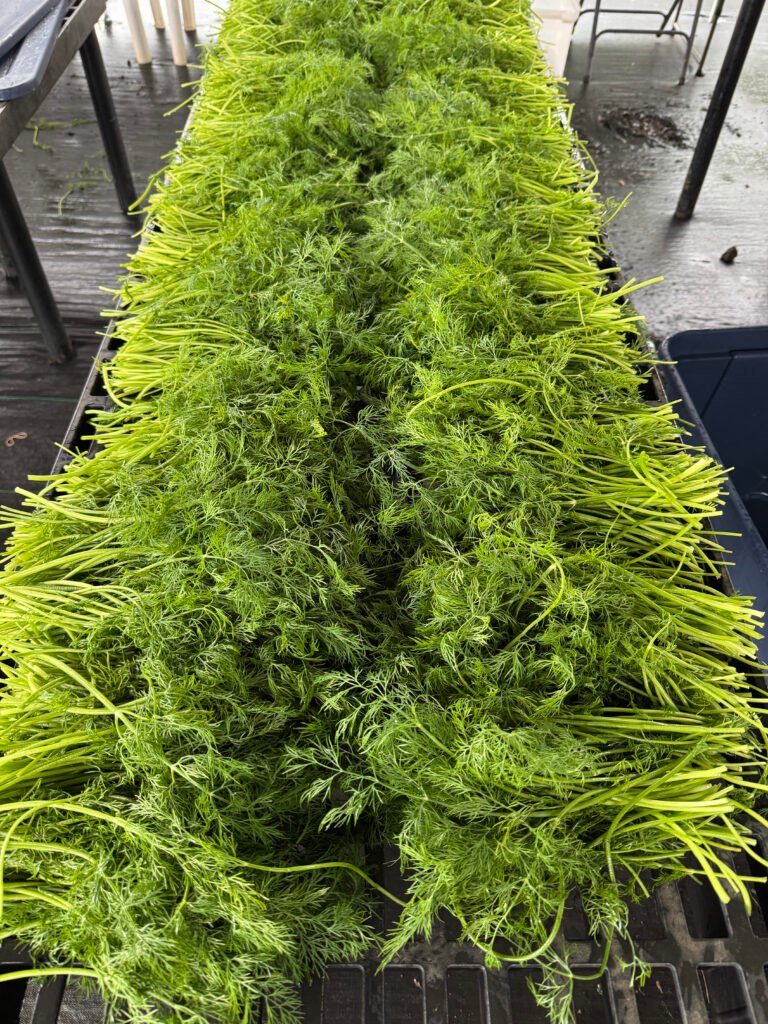 Hawaii organic farm to table