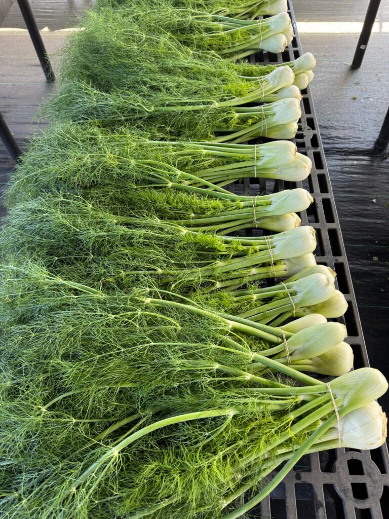 Hawaii organic farm to table