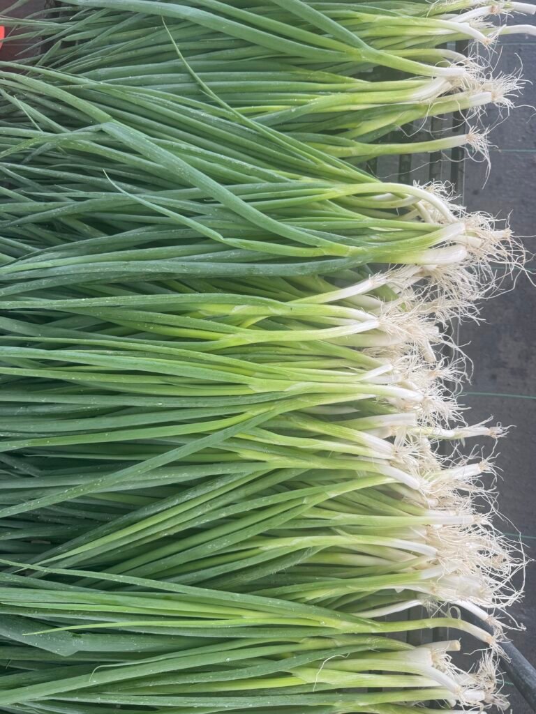 Hilo organic farm to table