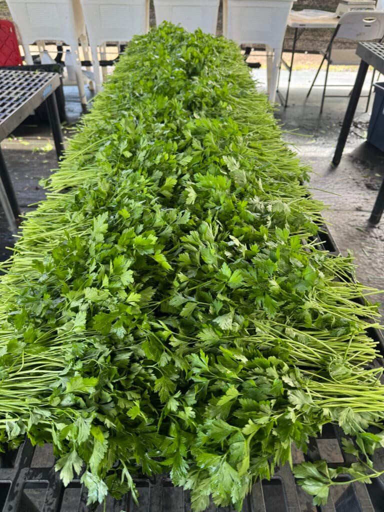 Hilo organic farm to table